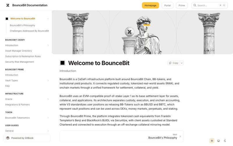 Screenshot of the BounceBit docs